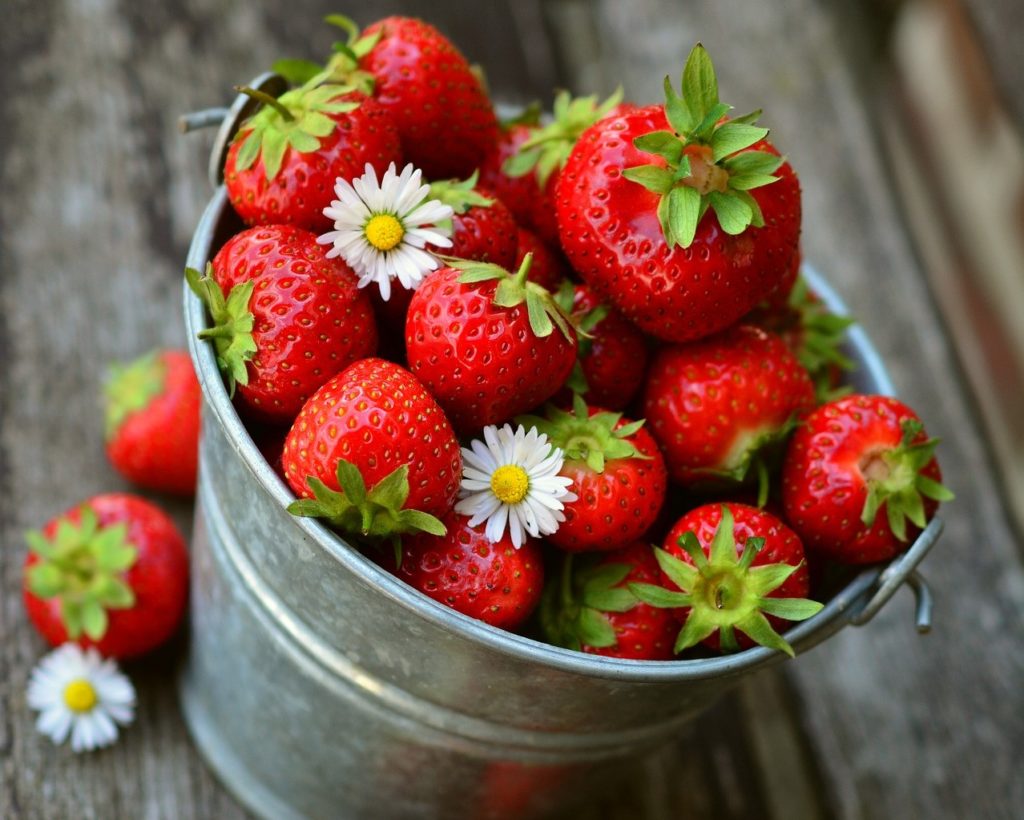 Dürfen Hunde Erdbeeren essen ️ Erdbeeren gesund für Hunde